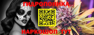 jwh Аша