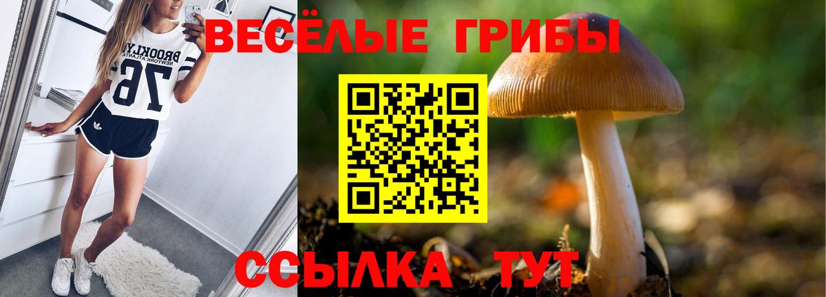 Псилоцибиновые грибы ЛСД Владикавказ